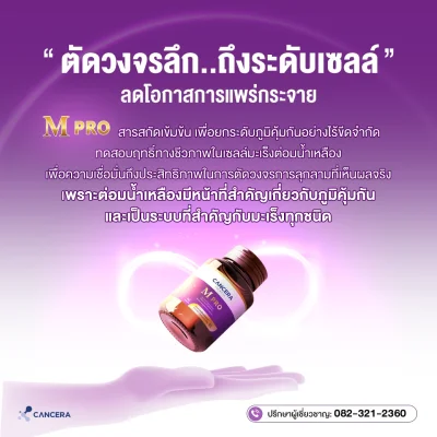 (1 กล่อง 60 แคปซูล) CANCERA M Pro ตัดวงจร การลุกลาม